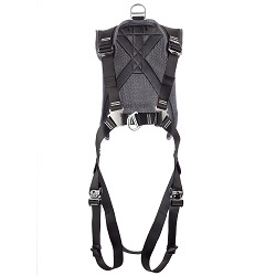 Cirrus WTG Harness