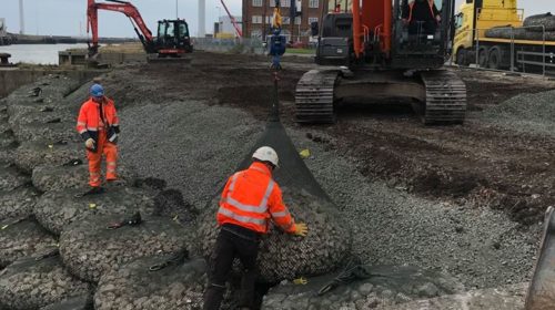 riverbank revetment regeneration