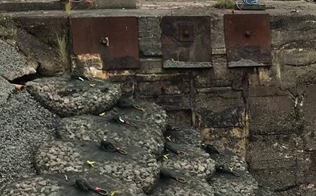 riverbank revetment regeneration